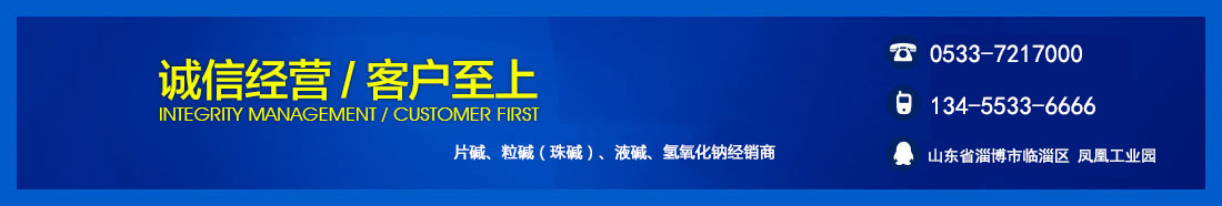 淄博片堿有限公司公司簡介