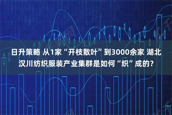 日升策略 从1家“开枝散叶”到3000余家 湖北汉川纺织服装产业集群是如何“织”成的？